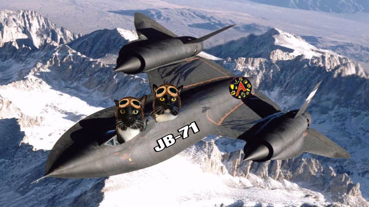 JLHerms's tweet photo. #TheAviators please join to honor & remember those that have gone #OTRB @AnipalAviators
#JB71 https://t.co/iGN6MmqhOx