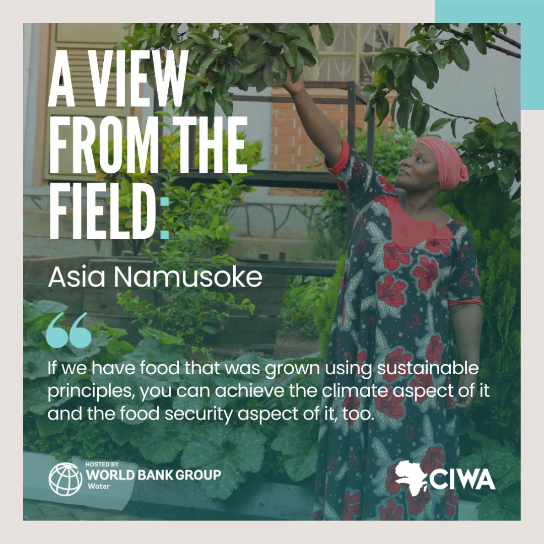 ciwaprogram's tweet photo. #ClimateChange resilience begins at home 🏡

That is Asia’s motto, a Climate Change Resilience Champion in #Uganda:

📢 giving lifelines and empowering her community.
♻️ promoting sustainable agriculture &amp; better health.

👉🏾 https://t.co/LpIcOwULMP

#AViewFromtheField #NileBasin https://t.co/zSEiUDauDI