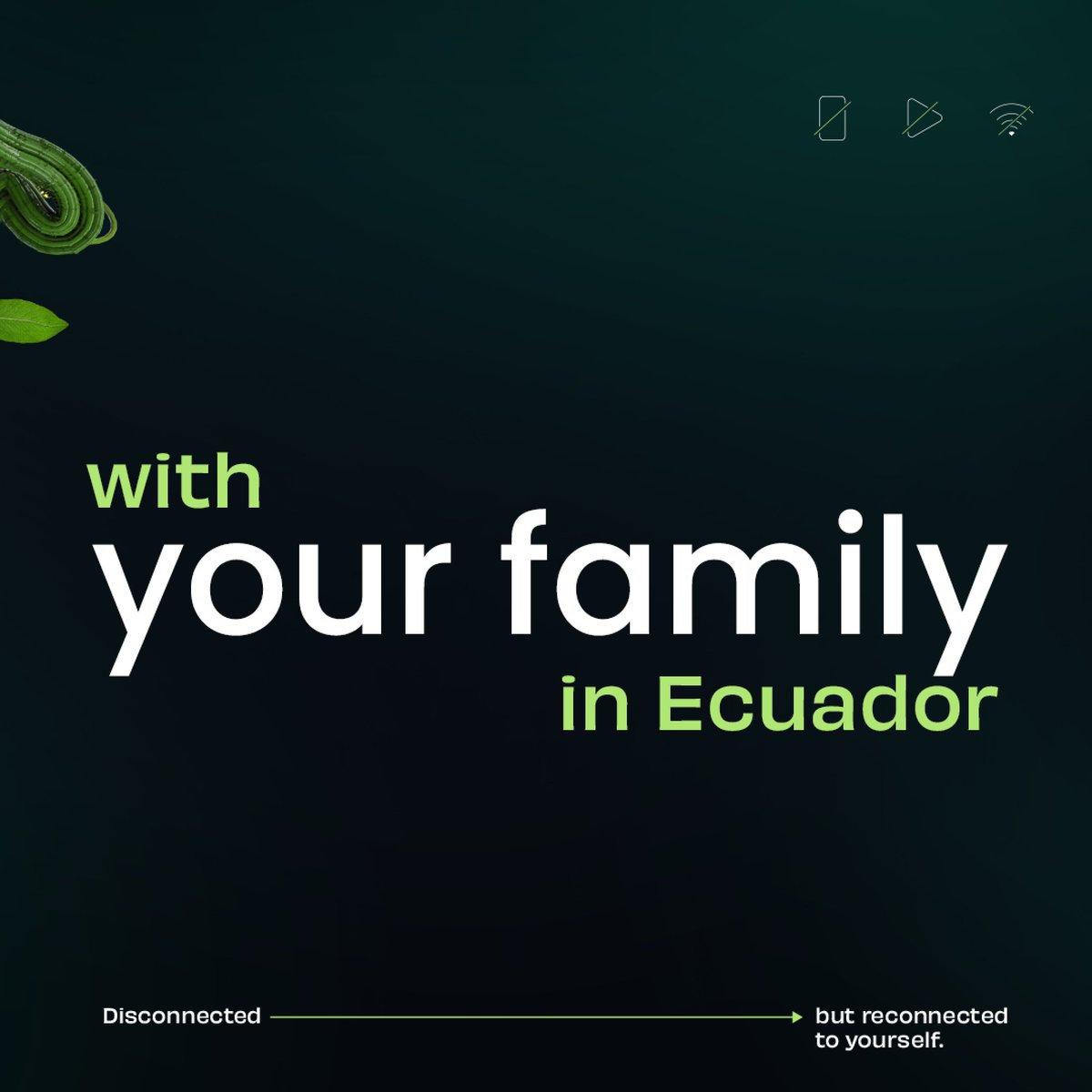 EcuadorTravel's tweet photo. It's #TimeToReconnect with your family in the heart of Ecuador! 🇪🇨💞🌳 Immerse in the vibrant cultures, share laughter on the sandy beaches, and create unforgettable memories navigating through the lush Amazonian jungles. It's #TimeToReconnectInEcuador! 🌄🏖️🍲👨👩👧👦🇪🇨📸 https://t.co/5dV9AGSpYz