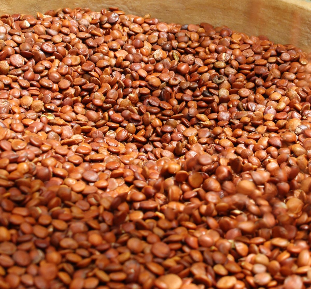 Quand <a href="/HADYLINE1/">HADYLINE</a> Creation rencontre Sahara Sahel Foods...

#FONAF démarre à Niamey demain. Vous y verrez entre autre les délicieuses graines de #magaria.