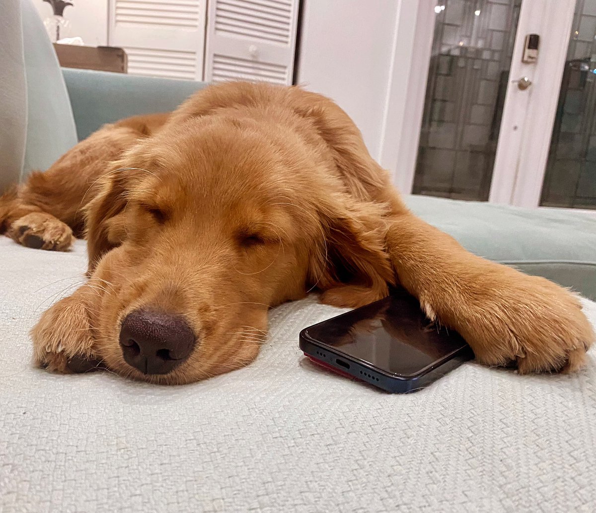 TheGoldenRatio4's tweet photo. When you stay up too late waiting for them to text back https://t.co/uufDU1C8Xp