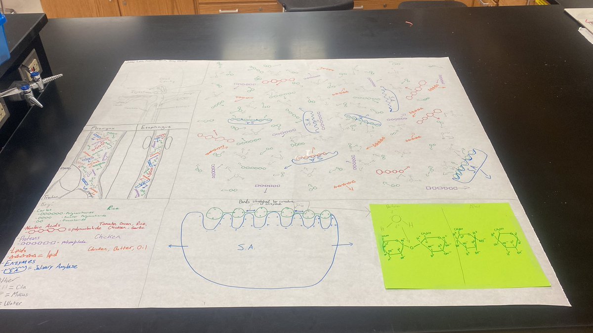 Laura Turngren tweet media