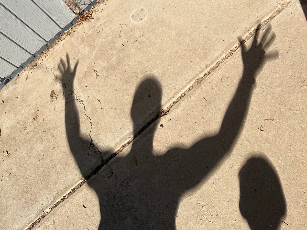 daniel_j_crumbo's tweet photo. Crumbo melted in the crescent light of the eclipse and is recombobulating. Perhaps he will soon return. https://t.co/H85a8cU4Uq