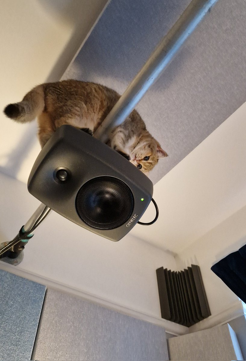 Olga Reed AMPS tweet media