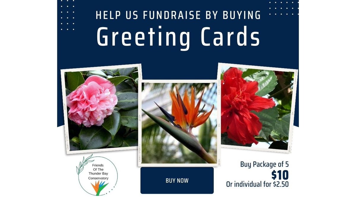 friendsTBcon's tweet photo. Sales of beautiful Conservatory greeting cards raise money for the Friends of the #ThunderBay Conservatory activities. 
#TBay #BotanicalConservatory #Fundraiser https://t.co/7cYC45NvHb