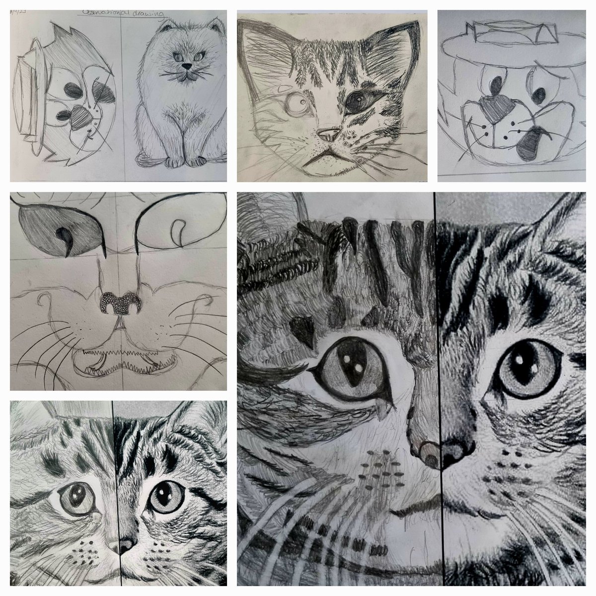 A selection of work by our new year 7 artists, demonstrating super observational sketching, shape, proportion, texture, mark making, and tone skills.⭐️👏✍️🎨🐈‍⬛️