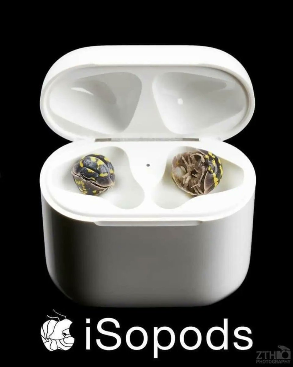 ArizonaTeaMan tweet media