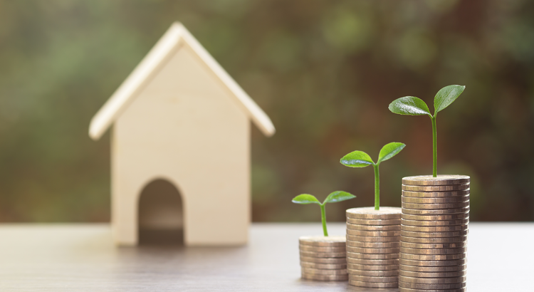 Did you know you can #grow your #networth with #homeownership? Find out more here!
tinyurl.com/2r7w5w2s