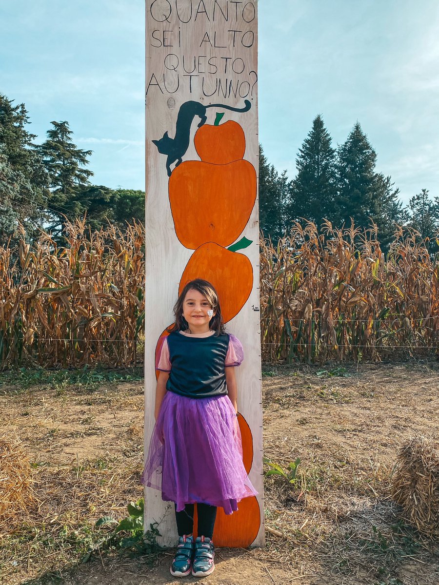 🎃 #PumpkinPatch nelle Marche 🎃 
__
Fino al 31/10 al Giardino dei Colori: Villaggio delle Zucche a tema Halloween 🕸️

🎃 raccogli la zucca
📸fai foto divertenti
🧺picnic
🎨lab creativi
🤹eventi

📌a 10 minuti da Pesaro
🧟‍♀️partecipa vestito a tema!
__
#destinazionemarche