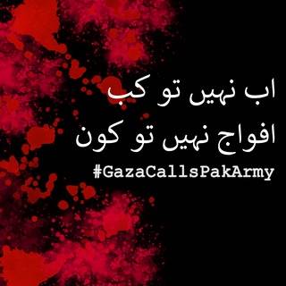 mtayyabrahim's tweet photo. #GazaCallsPakArmy https://t.co/MGBwB2PxVY