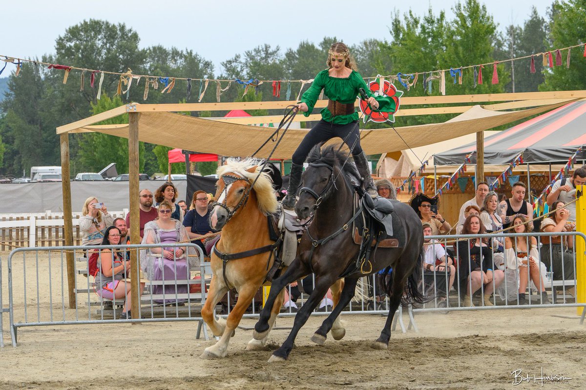 washingtonfaire's tweet image. Great shot of Elementa - Equestrian Alchemy! Look at those perfect angles! #WMRF2023 #Elementa #horses #trickriding