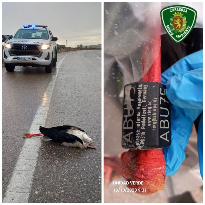 AF_UnidadVerde tweet media