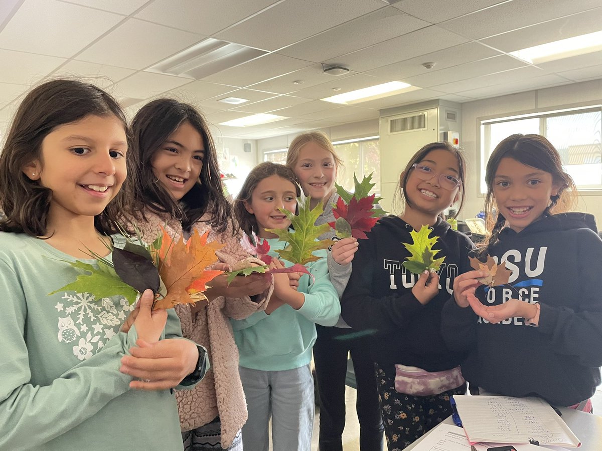 SeanRousselle's tweet photo. In G4 Science today, we investigated how plants adapt to their unique habitats and communities! Let’s just say the kids liked this lesson! :) @StJeromeOCSB #JERPride @ocsbEco https://t.co/VmKrCfWgKy