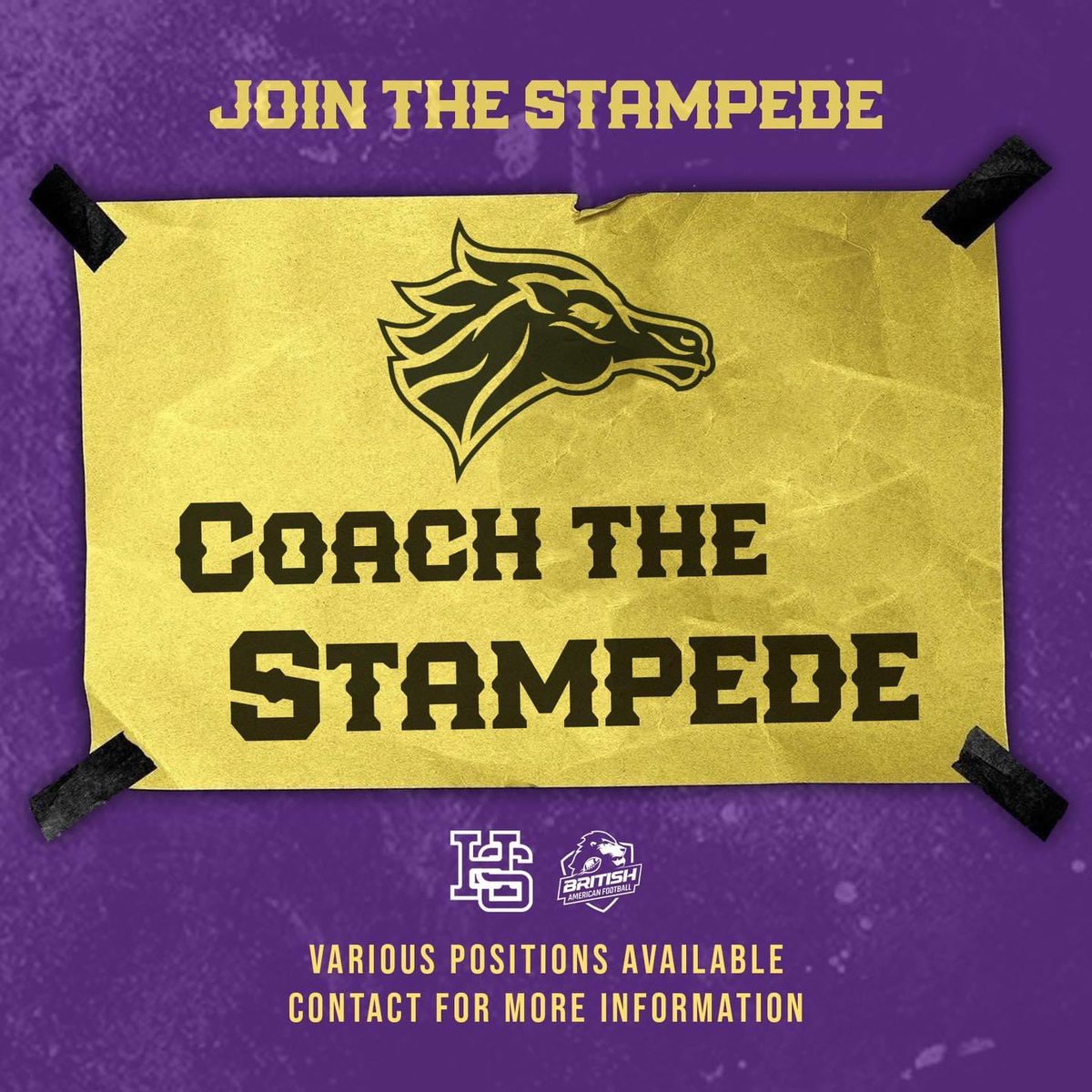 Hereford Stampede (@fordstampede) on Twitter photo 🚨🐴COACH THE STAMPEDE🚨🐴
We’re recruiting for positional coaches and coordinators in the offseason, ready for another exciting playoff push in 2024, why wouldn’t you want to be apart of the STAMPEDE?
For more information email: hereford.stampede@gmail.com 🚨🐴COACH THE STAMPEDE🚨🐴
We’re recruiting for positional coaches and coordinators in the offseason, ready for another exciting playoff push in 2024, why wouldn’t you want to be apart of the STAMPEDE?
For more information email: hereford.stampede@gmail.com