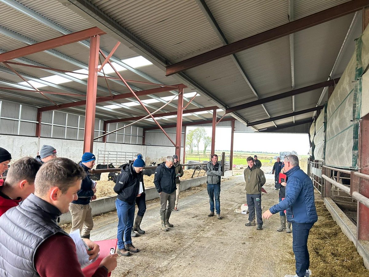 LallemandUK_IRL's tweet photo. 🐄 We were thrilled to join Nico Vreeburg at Liffey Mills for 'Cow Signals' training! We explored feed intake and cow behaviour, and visited Nichlous Molloy Farm to provide attendees with practical tips for herd health & productivity! 🐮 #CowSignals #HerdHealth https://t.co/BU0uIeyeRn