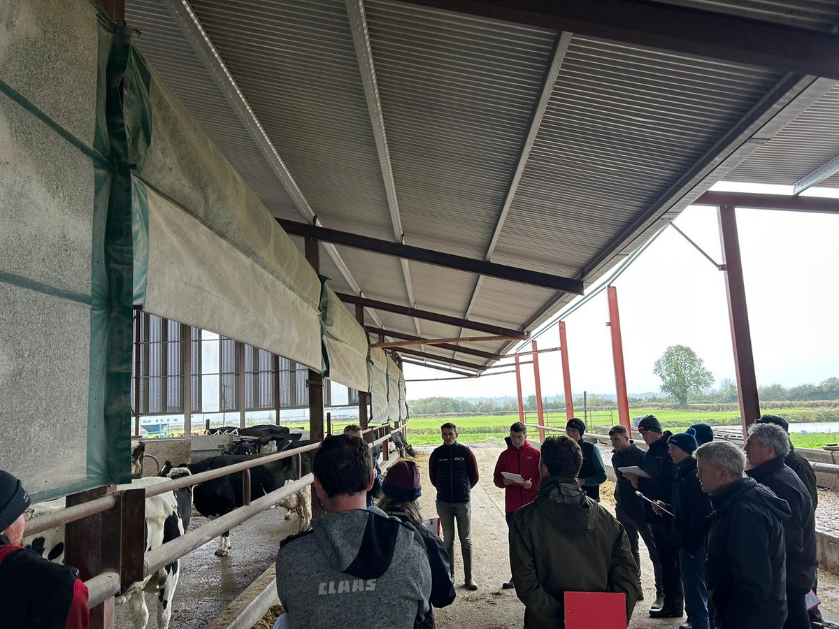LallemandUK_IRL's tweet photo. 🐄 We were thrilled to join Nico Vreeburg at Liffey Mills for 'Cow Signals' training! We explored feed intake and cow behaviour, and visited Nichlous Molloy Farm to provide attendees with practical tips for herd health & productivity! 🐮 #CowSignals #HerdHealth https://t.co/BU0uIeyeRn
