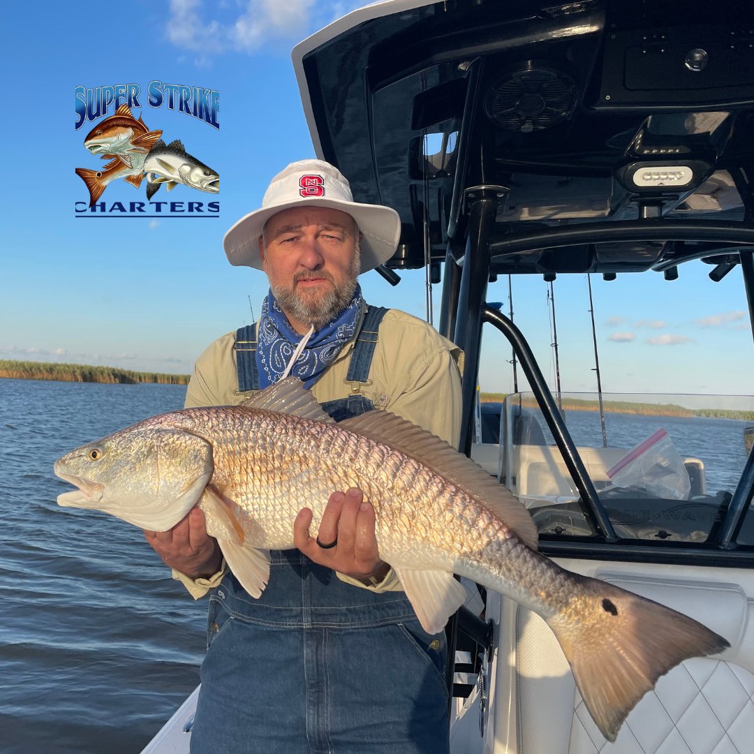 DPMSSC's tweet photo. Capt Matt &amp; Robinson crew took a 2 day charter and came back with bull reds and a box of slot reds! 162.6 lbs caught in 2 days!

#louisiana #bluewaveboats #fishing #superstrike #superstrikefishingcharter #fishingtrip #inshorefishing #bullreds #redfish #slotredfish #bullredfish https://t.co/ftor6A7aZX