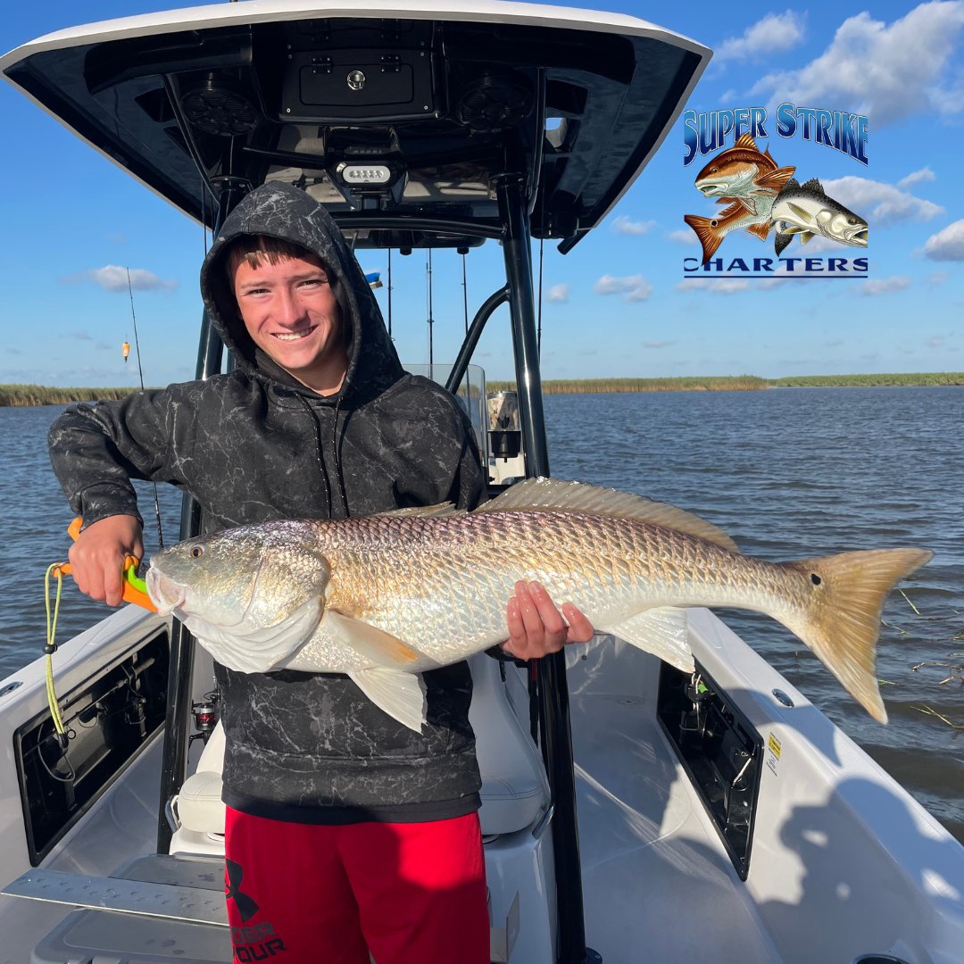 DPMSSC's tweet photo. Capt Matt &amp; Robinson crew took a 2 day charter and came back with bull reds and a box of slot reds! 162.6 lbs caught in 2 days!

#louisiana #bluewaveboats #fishing #superstrike #superstrikefishingcharter #fishingtrip #inshorefishing #bullreds #redfish #slotredfish #bullredfish https://t.co/ftor6A7aZX