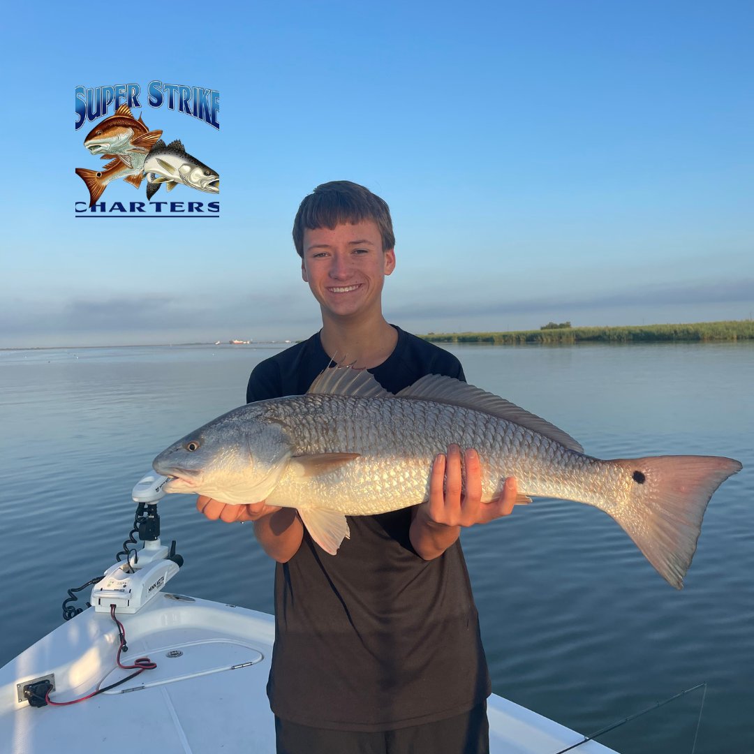 DPMSSC's tweet photo. Capt Matt &amp; Robinson crew took a 2 day charter and came back with bull reds and a box of slot reds! 162.6 lbs caught in 2 days!

#louisiana #bluewaveboats #fishing #superstrike #superstrikefishingcharter #fishingtrip #inshorefishing #bullreds #redfish #slotredfish #bullredfish https://t.co/ftor6A7aZX