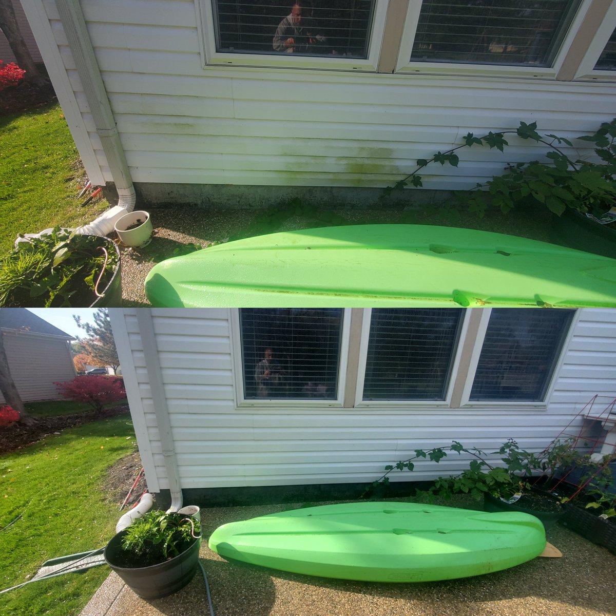 EandSPowerWash's tweet image. House washing in Waterford Township, Michigan  #BeforeandAfter #Fyp #ShareThisPage #HouseWash #HouseWashing #SoftWash #SoftWashing #HouseSoftWash #HouseSoftWashing #PowerWashing #PressureWashing #ExteriorHouseWash #ExteriorHouseWashing #ExteriorCleaning #ExteriorHousecleaning