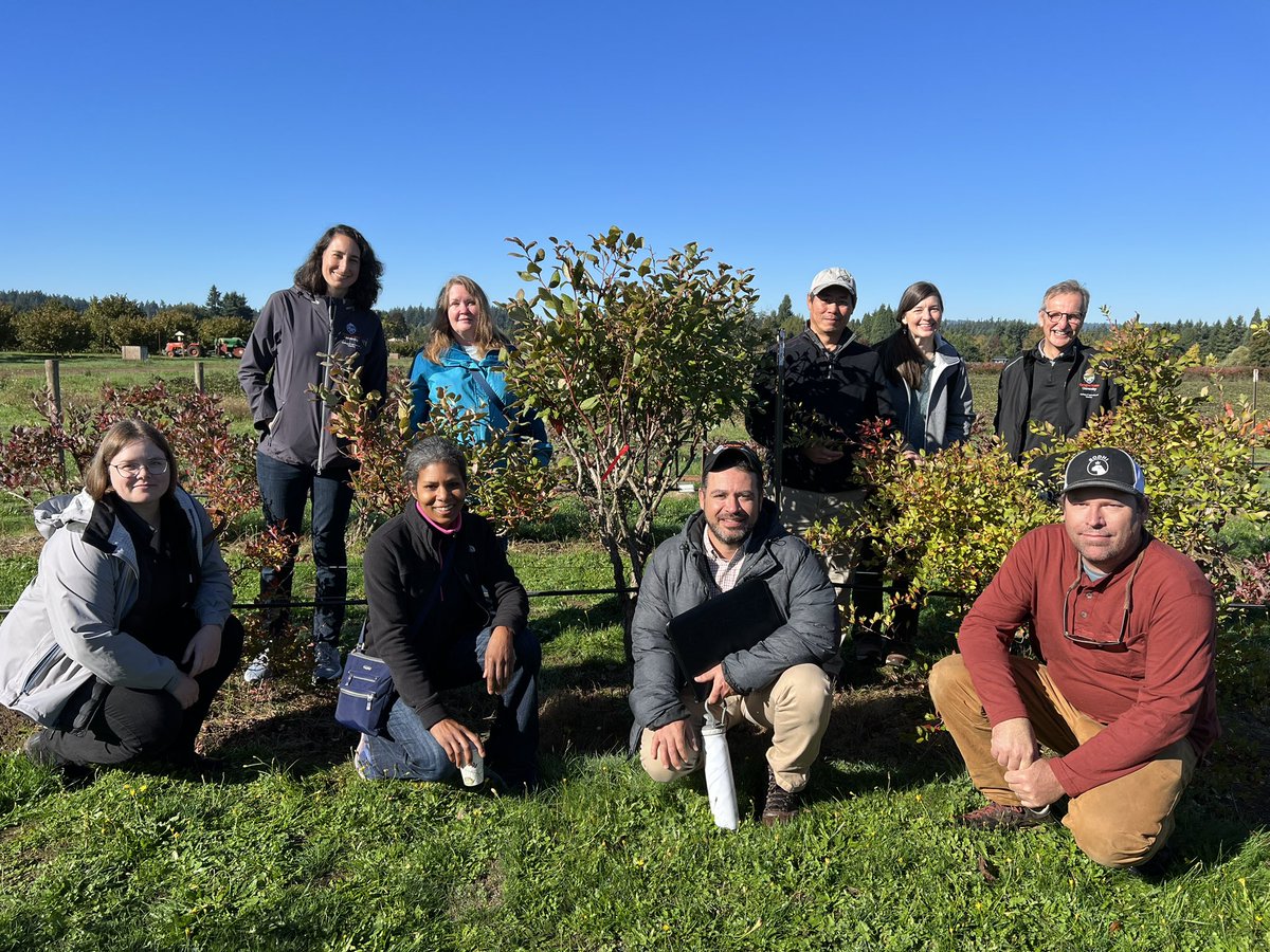 calstrawberries's tweet photo. #NWREC is happy to host Assoc Dean Donkin and his research and sponsored programs team today. Drs. Kristie Buckland, Lloyd Nackley, Wei Yang, and Nik Wiman talked to them about their research studies and their contribution to Oregon and beyond. https://t.co/DKreRa5V1c
