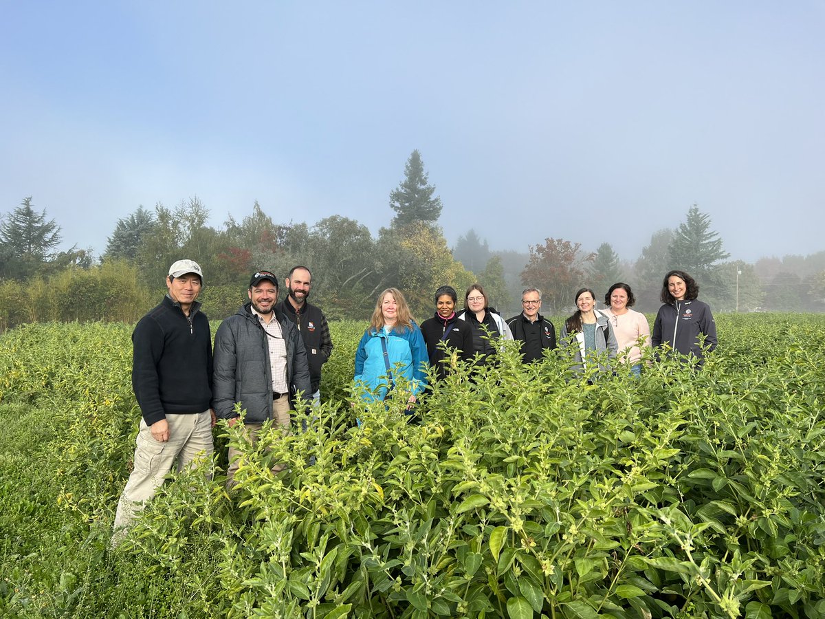 calstrawberries's tweet photo. #NWREC is happy to host Assoc Dean Donkin and his research and sponsored programs team today. Drs. Kristie Buckland, Lloyd Nackley, Wei Yang, and Nik Wiman talked to them about their research studies and their contribution to Oregon and beyond. https://t.co/DKreRa5V1c