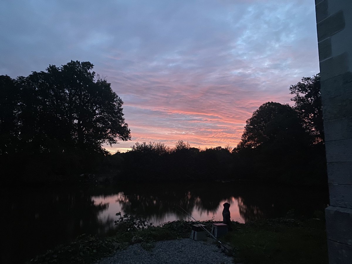 ‘Red sky in the morning means it’s going to be a lovely day ….’ I know and it’s not what you’d warn a shepherd about, but it’s true in our part of France!! Petale an I were out just before 8 so the days are definitely drawing in! Can you spot her checking for Coypu??