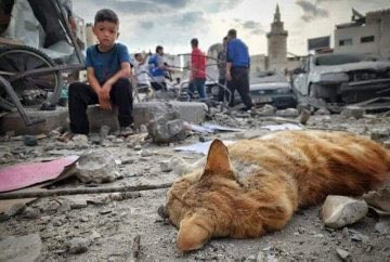 narrativistt's tweet photo. Do you now understand why even the rocks &amp; trees will have to speak?

“Do not think ˹O Prophet˺ that Allah is unaware of what the wrongdoers do. He only delays them until a Day when ˹their˺ eyes will stare in horror”

Qur’an | 14:42

#GazaHospital #PalestineGenocide
#فلسطين_الان https://t.co/WJ3C4pb5AY
