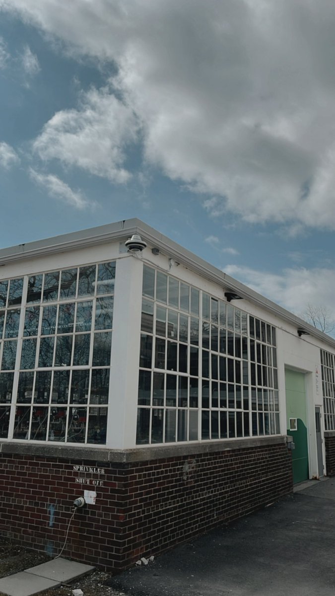 team hello happy tweet media