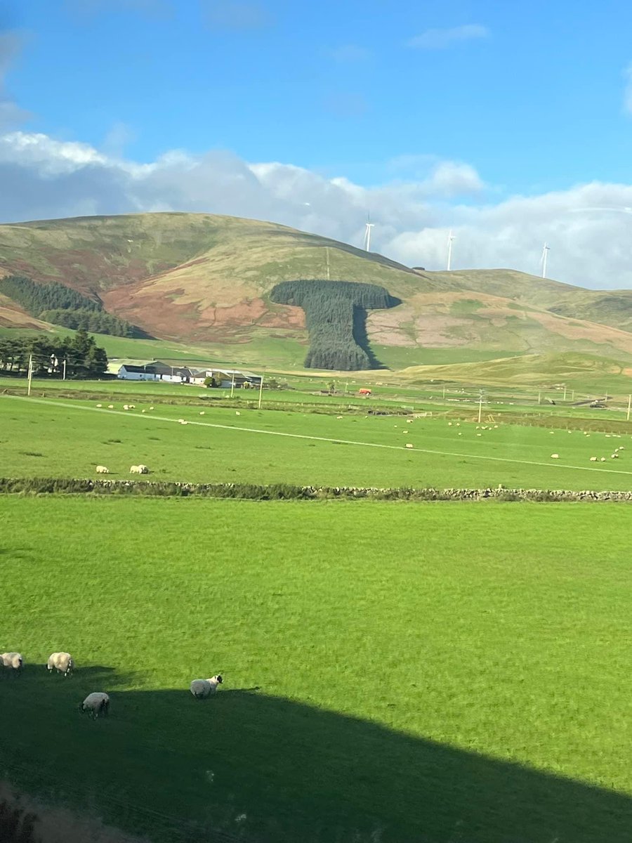 Celebrating <a href="/glasgowtigers/">Glasgow Tigers</a> League win, just off the M74….Give Us a T ❤️🤍🏆🏆🏴󠁧󠁢󠁳󠁣󠁴󠁿🐅