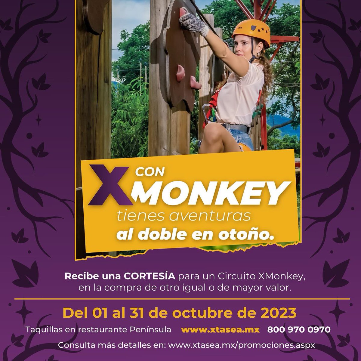 Disfruta de un segundo Circuito #XMonkey en cortesía, al adquirir uno de igual o mayor precio a través de taquillas Xtasea®, xtasea.mx o el call center 800 970 0970. 😃🐒🫶🏼

Válido hasta el 31 de Octubre. 🎃 🦇 

¡No lo dejes pasar! 

#XtaseaPark #Acapulco