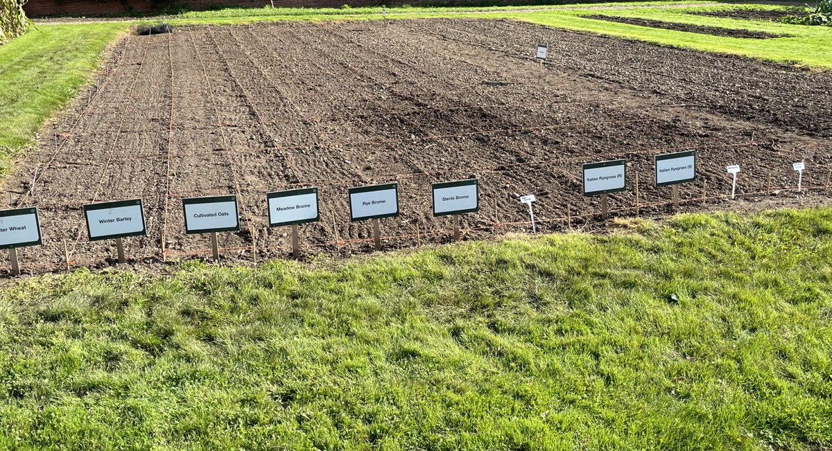 GoodgerSimon's tweet photo. The weed screen is sown &amp; pre-ems applied. Thanks to @tomastill_ &amp; @Bayer4CropsUK for their help with this and we look forward to using it as part of this year's BASIS Teaching. 
@agronomytrainer @CharlesAnyan @Kingston2W @Cereals_Ana @DavidCraigFarm @TedAllenStevens @BASISRegLtd https://t.co/tmB36G44eZ