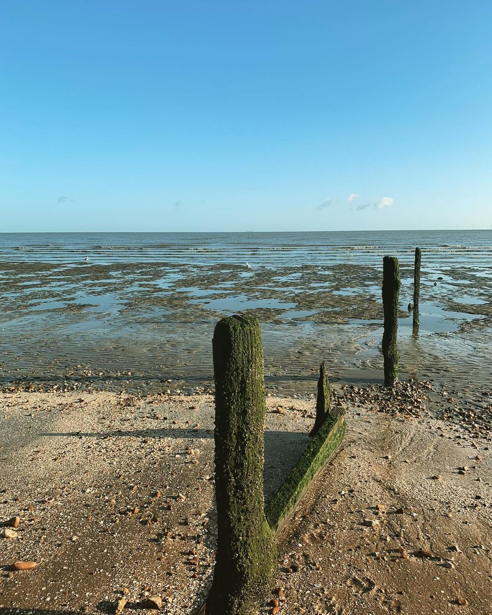 IsleofSheppeyHV's tweet photo. Crisp sunny mornings in the Autumn are definitely one of our favourites 🍂🌞

Amazing pictures from @sheppey_sights 

#lovegreatbritain #visitengland #visitbritain #visitswale #isleofsheppey #holidayintheuk #exploreuk #uktravel #autumnwalks #autumn https://t.co/n5wCVn3Mc8
