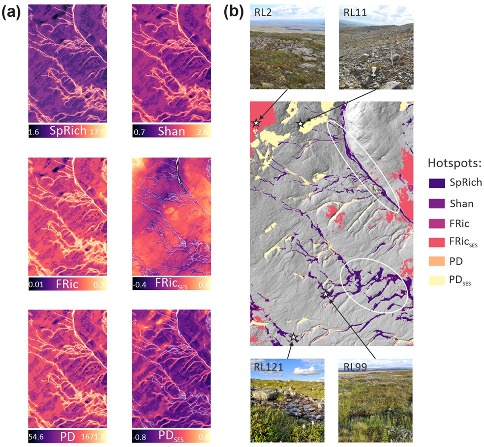 Oikos_Journal's tweet photo. Biodiversity in tundra is driven by local snow and fluvial conditions ❄️🌨️🏔️

https://t.co/DRBl80rwoz

@NordicOikos @WileyEcolEvol #OpenAccess #ecology #phylogenetic #plant #diversity @GeoHelsinkiUni @KumpulaScience
📸 @TuuliRissanen https://t.co/u0TphfaK9l