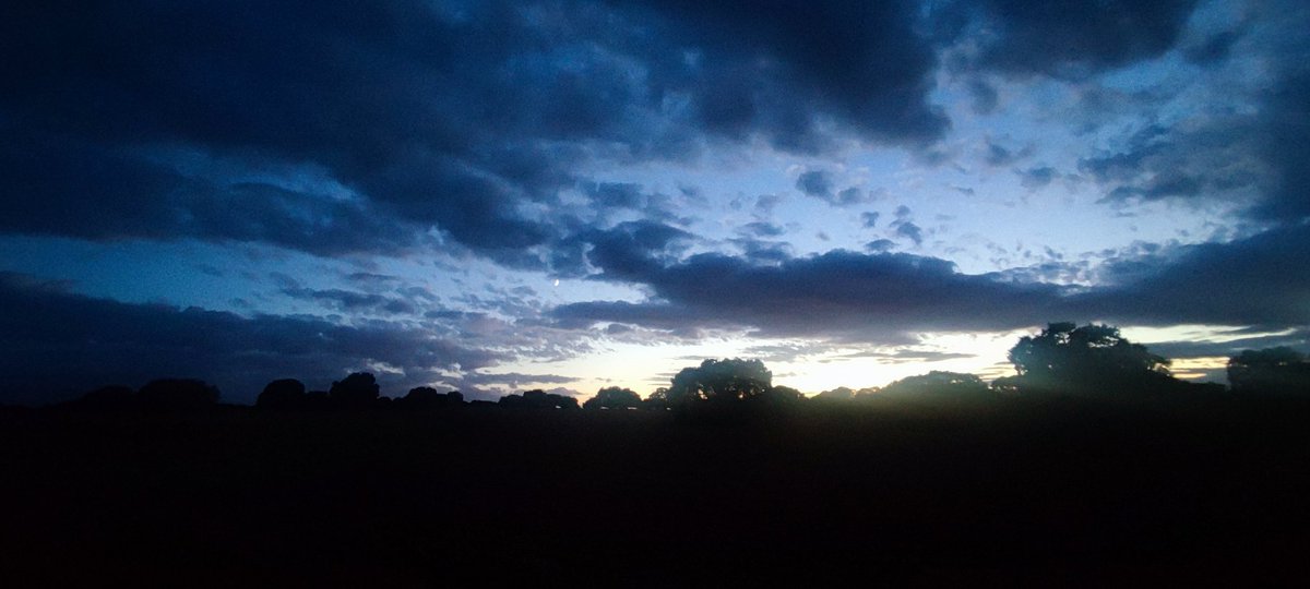 nokAs. Ángel.byJuan (@nokaspengar) on Twitter photo 