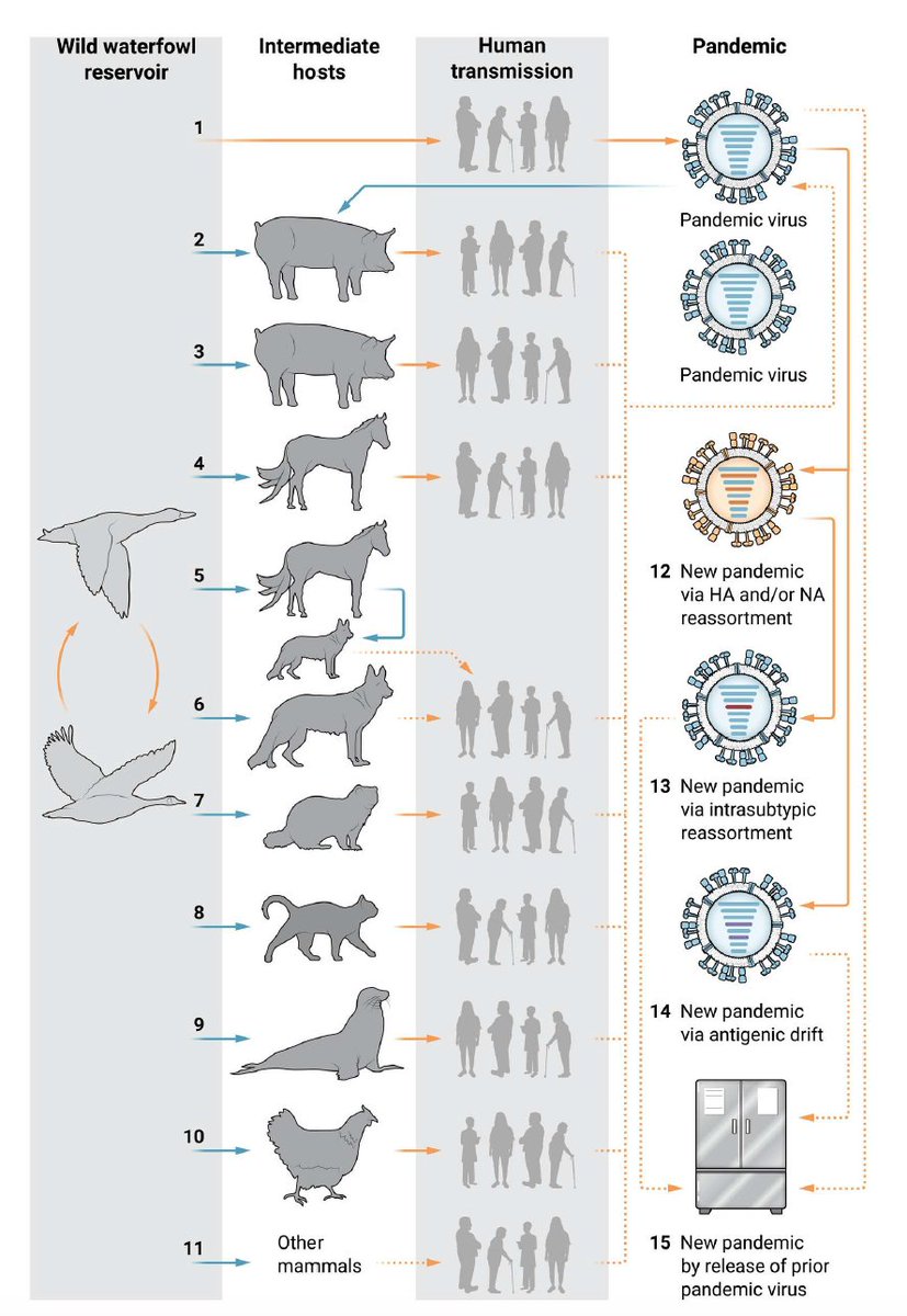 Eric Topol (@erictopol) on Twitter photo There are too many paths towards an influenza pandemic in the future—getting a universal flu vaccine across the goal line, which has promising potential now, is an important defense
science.org/doi/full/10.11… <a href="/ScienceTM/">Science Translational Medicine</a> There are too many paths towards an influenza pandemic in the future—getting a universal flu vaccine across the goal line, which has promising potential now, is an important defense
science.org/doi/full/10.11… <a href="/ScienceTM/">Science Translational Medicine</a>