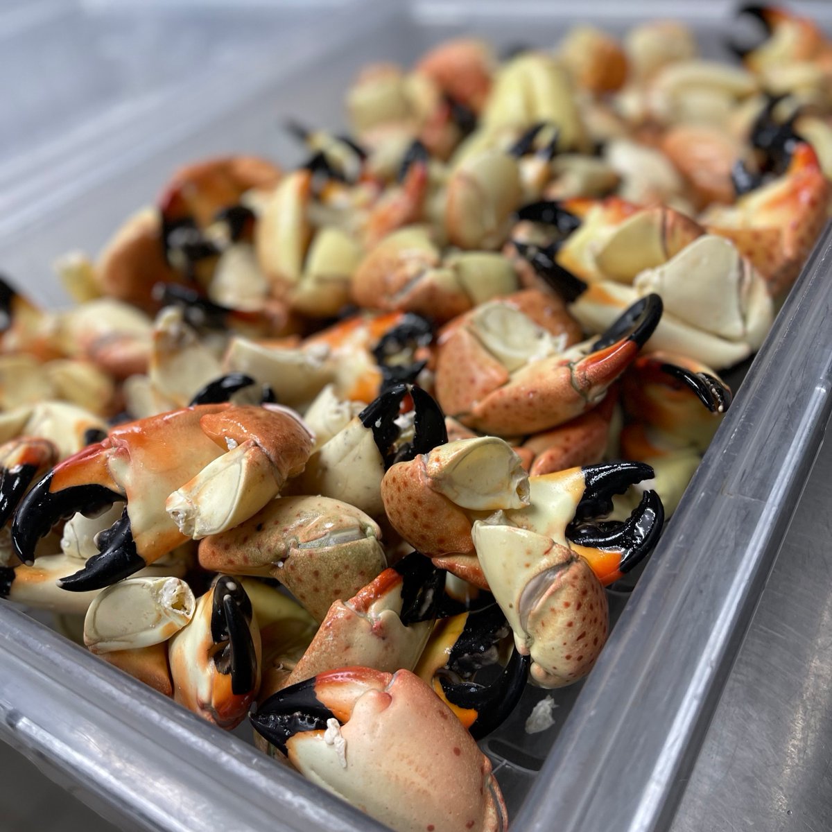 Truluck's Restaurant tweet media