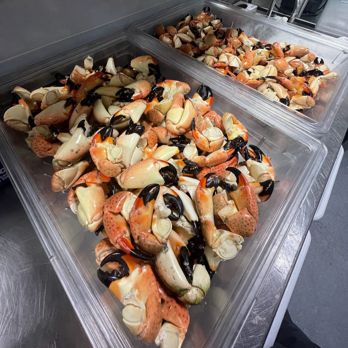 Truluck's Restaurant tweet media