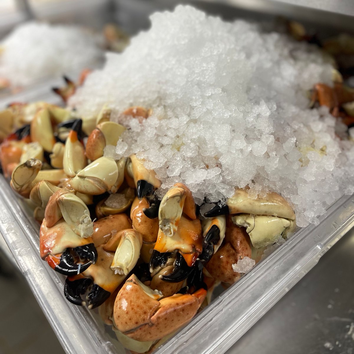 Truluck's Restaurant tweet media