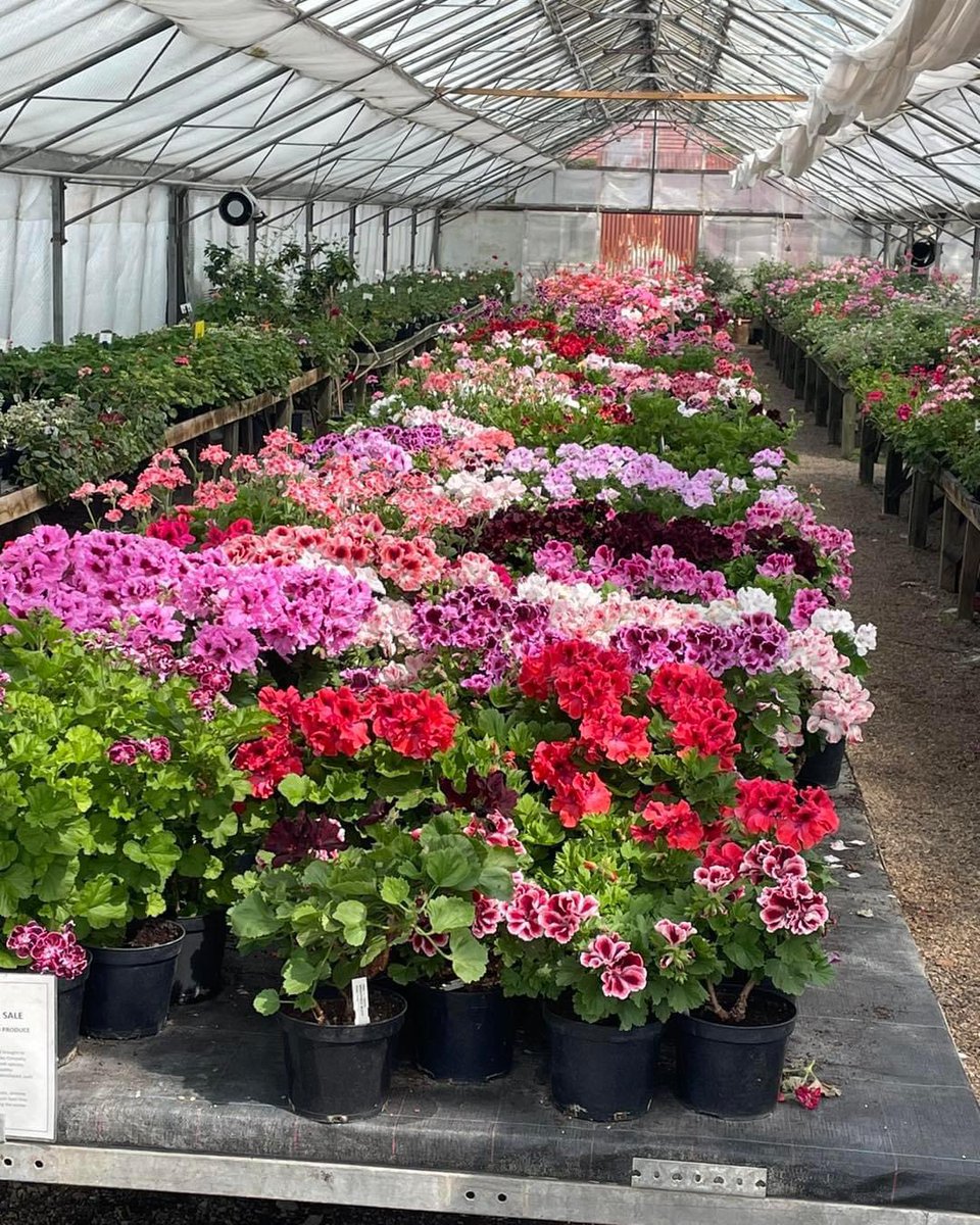 Fibrex Nurseries tweet media