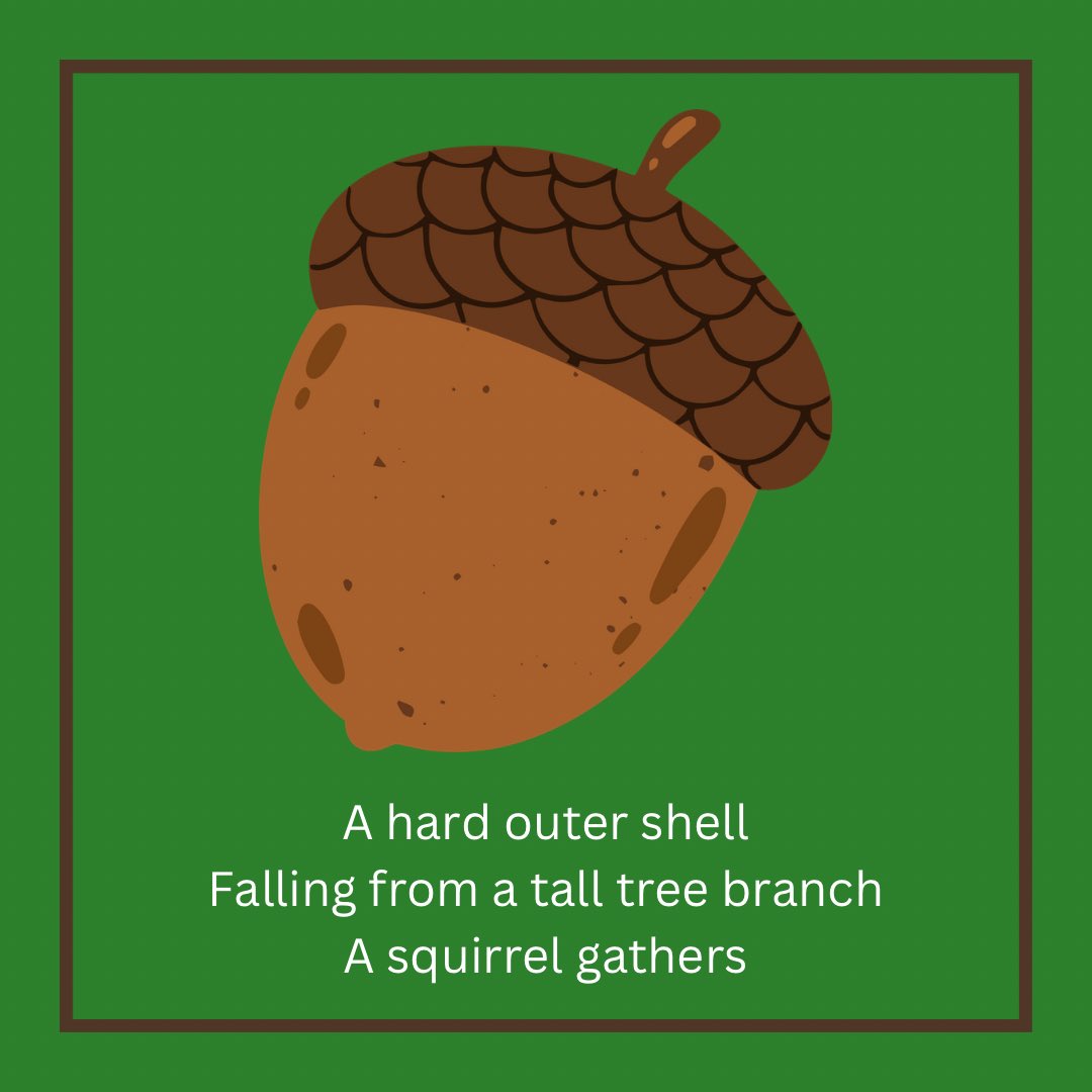 STEMSquirrels's tweet photo. A nutty haiku 🥜🐿️

#squirrel #stemsquirrels #acorn #haiku #walnutwednesday https://t.co/YAQ79uo3v2