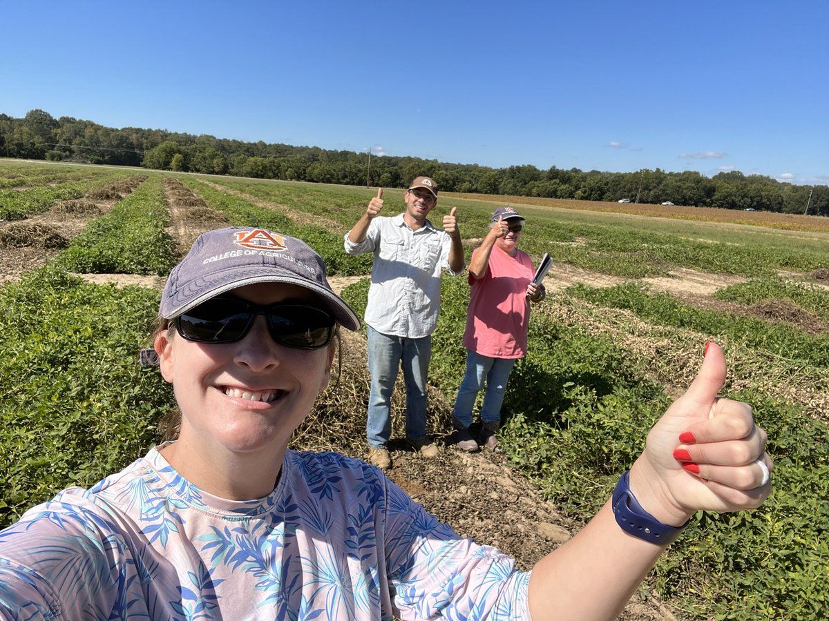 The Scherer lab finally finished rating our last peanut trials for leaf spot and white mold in 2023 at Plant Breeding Unit this morning 😎. Now we just have to do something with all this data 🧐<a href="/KathyBBurch/">Kathy Burch</a> <a href="/AuburnAg/">Auburn Agriculture</a> <a href="/ACESedu/">Alabama Extension</a>