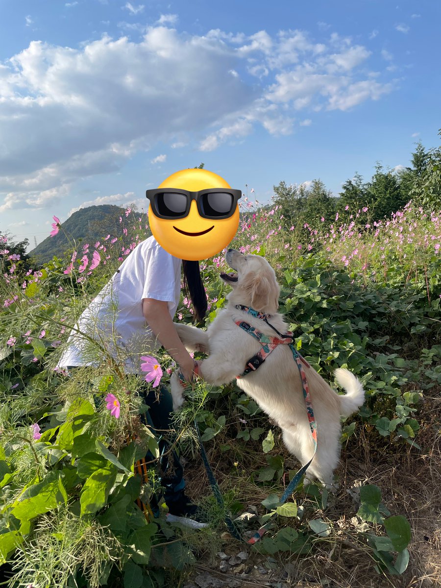 really_maru's tweet photo. 이 계정 로그인 오랜만에 하네.. 
마루 잘 지내요! 
천천히 아기에게 적응하며 지내는 중! https://t.co/oxiawp8mXx