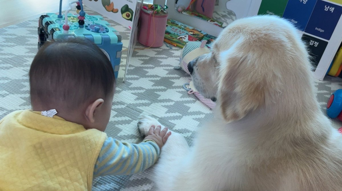 really_maru's tweet photo. 이 계정 로그인 오랜만에 하네.. 
마루 잘 지내요! 
천천히 아기에게 적응하며 지내는 중! https://t.co/oxiawp8mXx