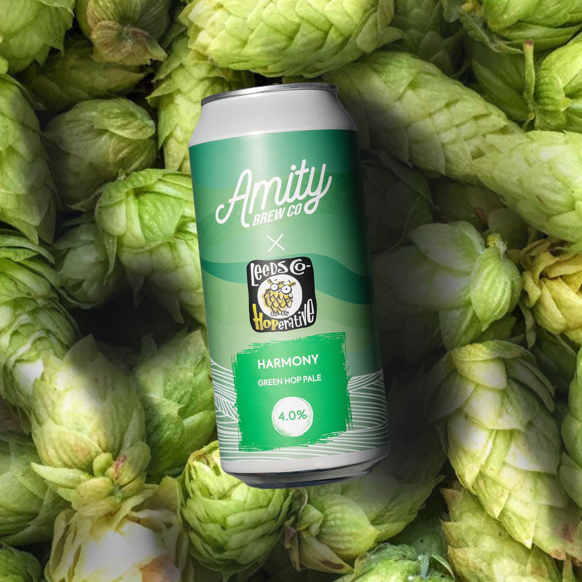 AMITY X LEEDS CO-HOPERATIVE // HARMONY 2023 // GREEN HOP PALE

A beer that is quite simply all about community. Harmony is a straight up, easy drinking pale ale, brewed with fresh hops from over 20 growers local to Amity

amitybrew.co/shop/p/harmony…
