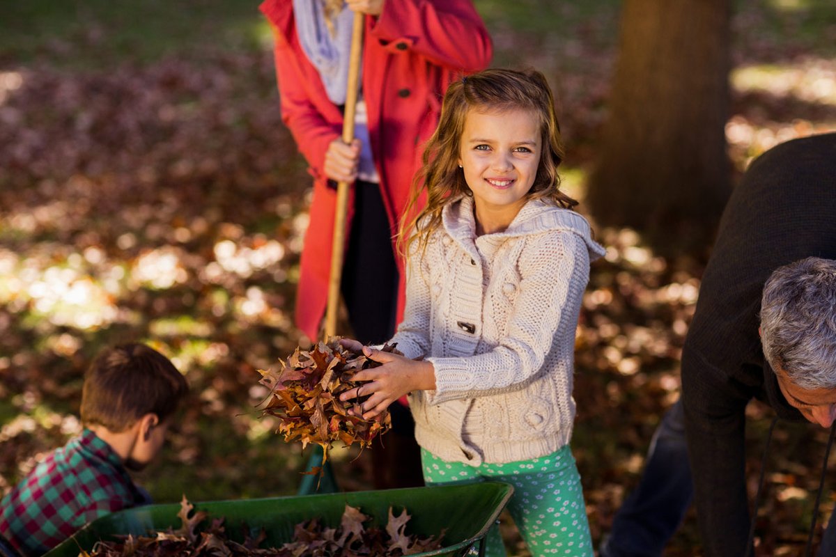 🍁🍂Comment ramasser les feuilles mortes sans se fatiguer ? 😊

Mes astuces : 👇👇
autourdupotager.com/ramasser-feuil…