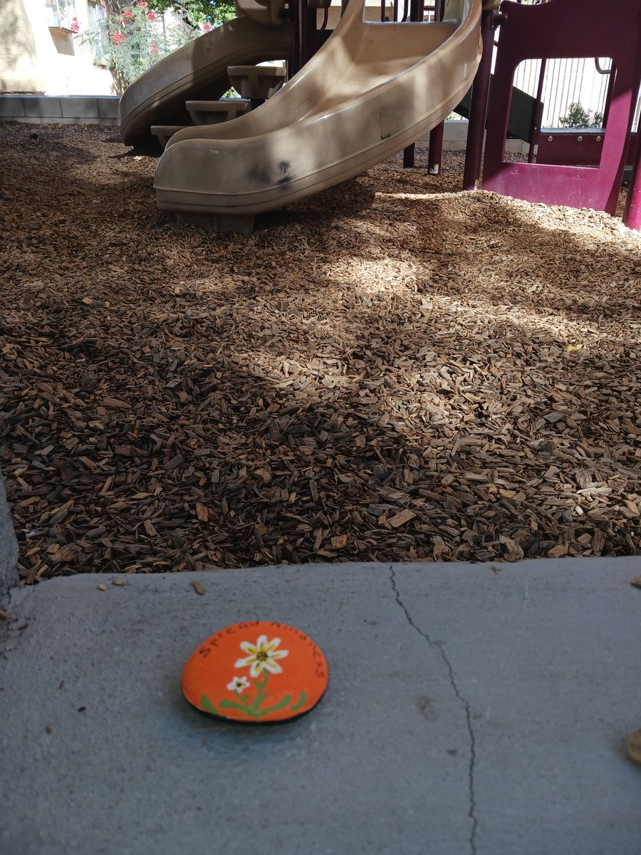 Natalie Filipic tweet media