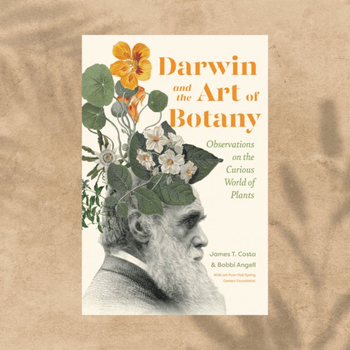 James T. Costa (@jimcostahbs) on Twitter photo It's officially out! Homage to both botanical art and Darwin's artistry in botany, we dedicated our book "to botanists throughout the world who continue to study plants, and artists who continue to draw them." Many thanks to @Oak_spring and <a href="/timberpress/">Timber Press</a>! tinyurl.com/hat4rtj8 It's officially out! Homage to both botanical art and Darwin's artistry in botany, we dedicated our book "to botanists throughout the world who continue to study plants, and artists who continue to draw them." Many thanks to @Oak_spring and <a href="/timberpress/">Timber Press</a>! tinyurl.com/hat4rtj8