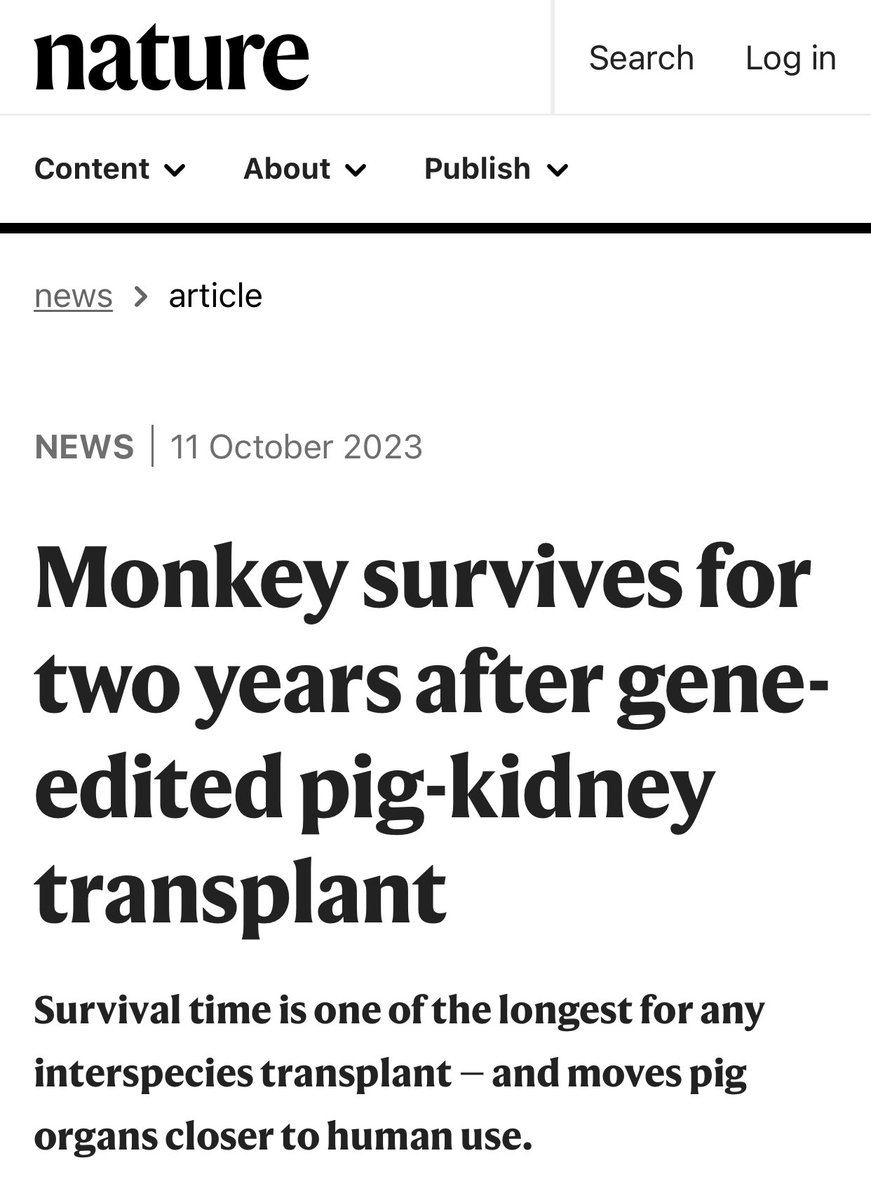 Bertrand Knebelmann tweet media