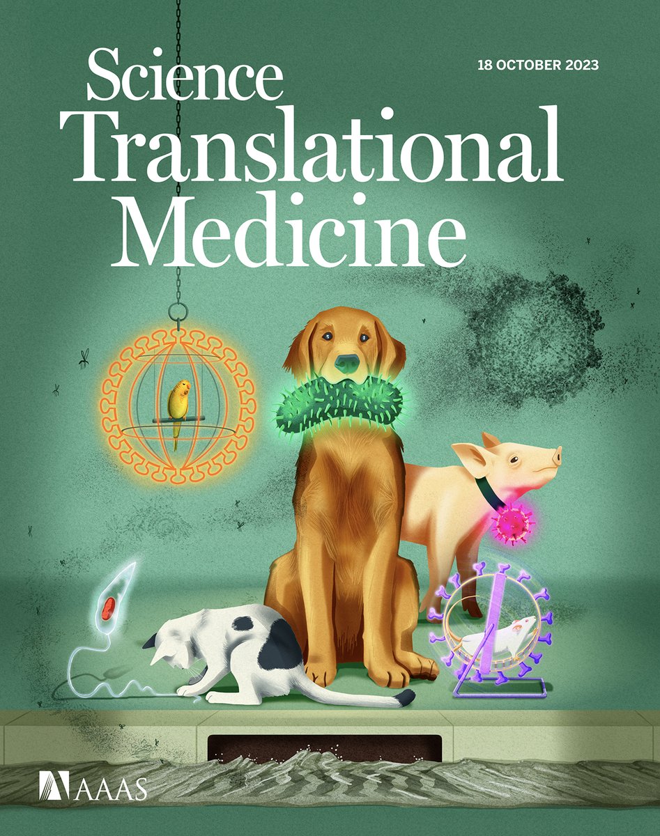 The new special issue on zoonotic diseases has arrived! Articles this week explore the latest research and counterstrategies for zoonotic threats, including an Editorial from Anthony Fauci and research on how the skin microbiome influences leishmaniasis.

scim.ag/4vr